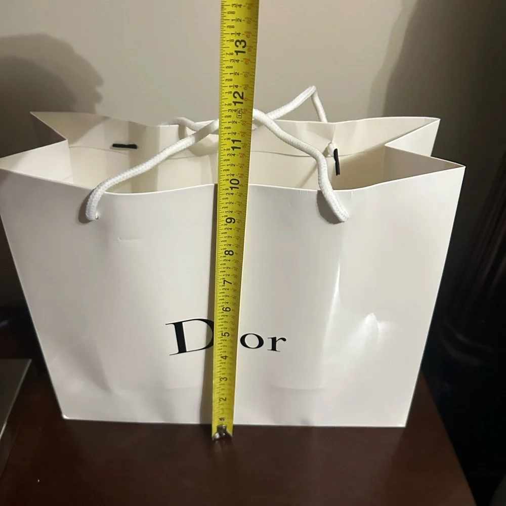 Dior gift bag new